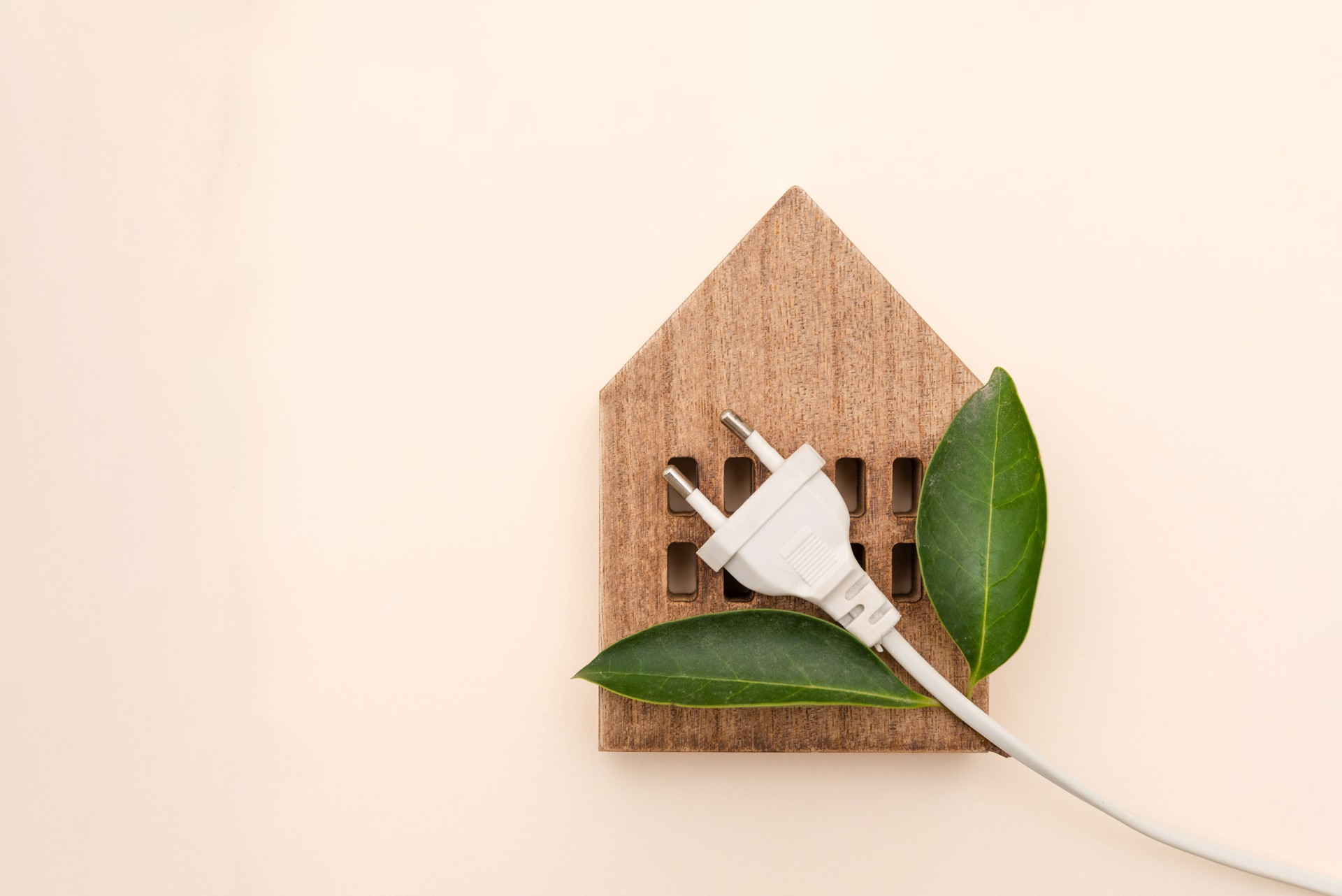 Eco-friendly energy concept with wooden house model, electric plug and green leaf, sustainable and renewable power solutions